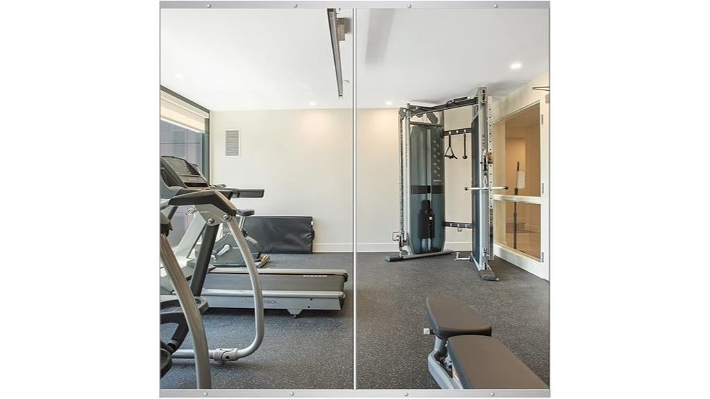 dual pack fitness mirrors