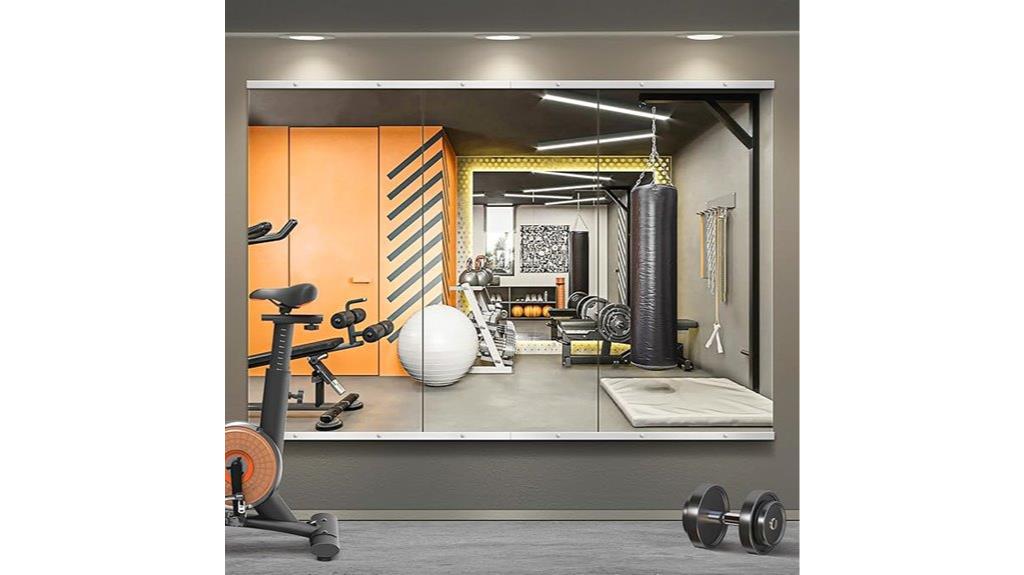 wall mounted workout mirror