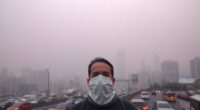 air pollution impacts lungs