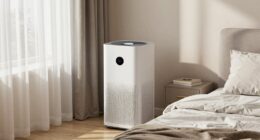 proper air purifier placement