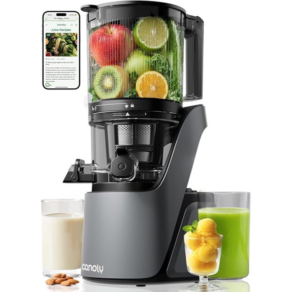 cold press juicer with strainers