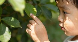 light enhances early exploration