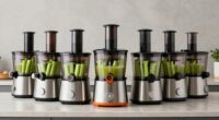 top celery juicer picks