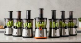 top celery juicer picks