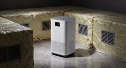 top crawl space dehumidifiers