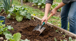 A new start after 60: I dedicated myself 100% to saving soil – and a life of wild adventure began