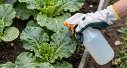 Common pesticide linked to more than double the risk of Parkinson’s disease