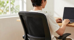 15 Best Ergonomic Back Support Cushions in 2026