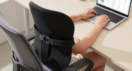 15 Best Ergonomic Lumbar Support Cushions in 2026