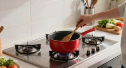 8 Best Electric Stoves in 2026