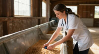 Phibro Animal Health Surges In Global Coverage