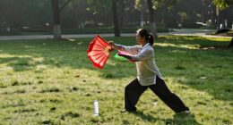 14 Best Tai Chi Exercise Equipment for Seated Practice in 2027