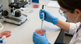 Bonn Researchers Successfully Rejuvenate Human Cells In A Test Tube