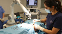 Epic Fail: Robots Don't Improve Joint Replacement Outcomes In Big U.K. Studies